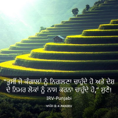 Picture 03 - ਆਮੋਸ 8:4 PANIRV - “ਤੁਸੀਂ ਜੋ ਕੰਗਾਲਾਂ - Bible Verse Picture