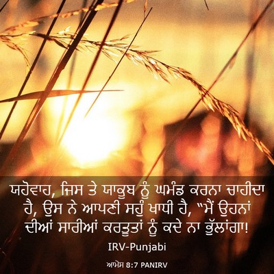 Picture 03 - ਆਮੋਸ 8:7 PANIRV - ਯਹੋਵਾਹ, ਜਿਸ ਤੇ - Bible Verse Picture