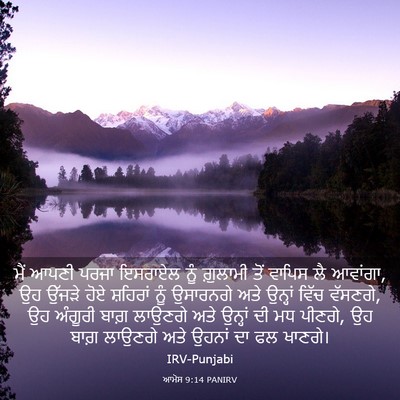 Picture 03 - ਆਮੋਸ 9:14 PANIRV - ਮੈਂ ਆਪਣੀ ਪਰਜਾ - Bible Verse Picture