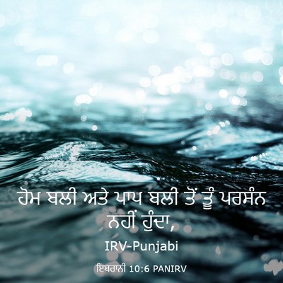 Picture 03 - ਇਬਰਾਨੀ 10:6 PANIRV - ਹੋਮ ਬਲੀ ਅਤੇ ਪਾਪ ਬਲੀ - Bible Verse Picture