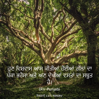 Picture 03 - ਇਬਰਾਨੀ 11:1 PANIRV - ਹੁਣ ਵਿਸ਼ਵਾਸ ਆਸ - Bible Verse Picture