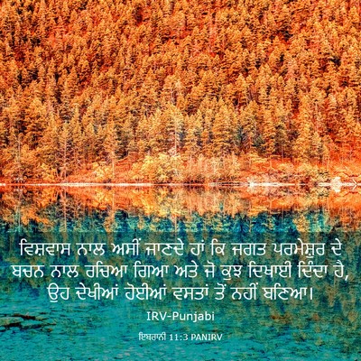 Picture 03 - ਇਬਰਾਨੀ 11:3 PANIRV - ਵਿਸ਼ਵਾਸ ਨਾਲ ਅਸੀਂ - Bible Verse Picture