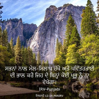 Picture 03 - ਇਬਰਾਨੀ 12:14 PANIRV - ਸਭਨਾਂ ਨਾਲ - Bible Verse Picture