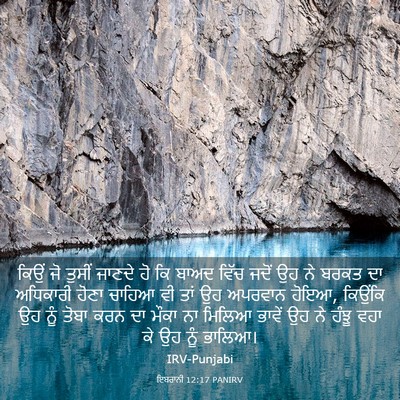 Picture 03 - ਇਬਰਾਨੀ 12:17 PANIRV - ਕਿਉਂ ਜੋ ਤੁਸੀਂ - Bible Verse Picture