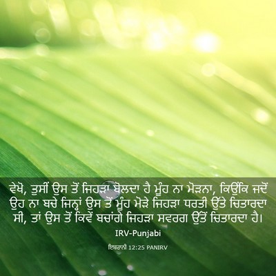 Picture 03 - ਇਬਰਾਨੀ 12:25 PANIRV - ਵੇਖੋ, ਤੁਸੀਂ ਉਸ ਤੋਂ - Bible Verse Picture