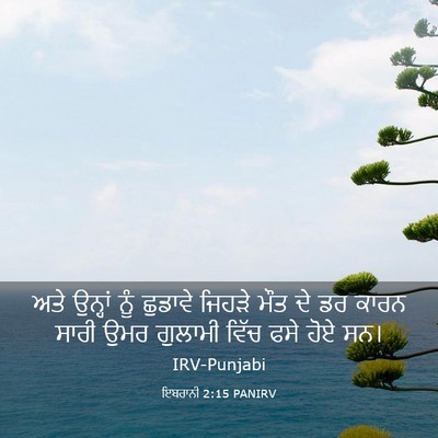 Picture 03 - ਇਬਰਾਨੀ 2:15 PANIRV - ਅਤੇ ਉਨ੍ਹਾਂ ਨੂੰ - Bible Verse Picture