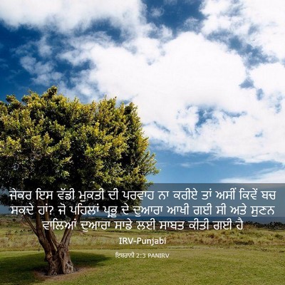 Picture 03 - ਇਬਰਾਨੀ 2:3 PANIRV - ਜੇਕਰ ਇਸ ਵੱਡੀ ਮੁਕਤੀ - Bible Verse Picture