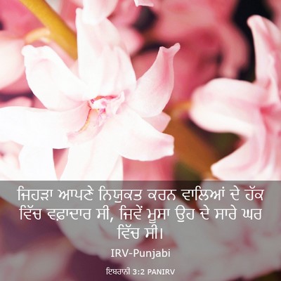 Picture 03 - ਇਬਰਾਨੀ 3:2 PANIRV - ਜਿਹੜਾ ਆਪਣੇ ਨਿਯੁਕਤ - Bible Verse Picture