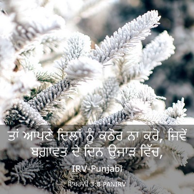 Picture 03 - ਇਬਰਾਨੀ 3:8 PANIRV - ਤਾਂ ਆਪਣੇ ਦਿਲਾਂ ਨੂੰ - Bible Verse Picture