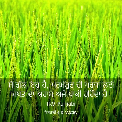 Picture 03 - ਇਬਰਾਨੀ 4:9 PANIRV - ਸੋ ਗੱਲ ਇਹ ਹੈ, - Bible Verse Picture