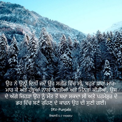 Picture 03 - ਇਬਰਾਨੀ 5:7 PANIRV - ਉਹ ਨੇ ਉਨ੍ਹੀਂ ਦਿਨੀਂ - Bible Verse Picture