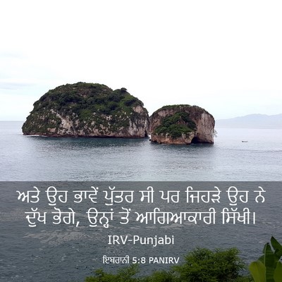 Picture 03 - ਇਬਰਾਨੀ 5:8 PANIRV - ਅਤੇ ਉਹ ਭਾਵੇਂ ਪੁੱਤਰ - Bible Verse Picture