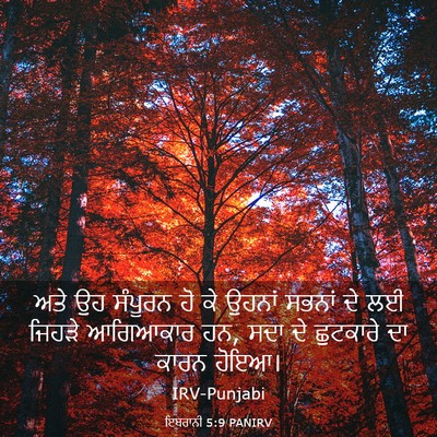Picture 03 - ਇਬਰਾਨੀ 5:9 PANIRV - ਅਤੇ ਉਹ ਸੰਪੂਰਨ ਹੋ ਕੇ - Bible Verse Picture