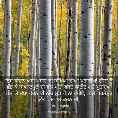Picture 03 - ਇਬਰਾਨੀ 6:1 PANIRV - ਇਸ ਕਾਰਨ ਅਸੀਂ ਮਸੀਹ - Bible Verse Picture