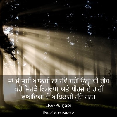 Picture 03 - ਇਬਰਾਨੀ 6:12 PANIRV - ਤਾਂ ਜੋ ਤੁਸੀਂ ਆਲਸੀ - Bible Verse Picture