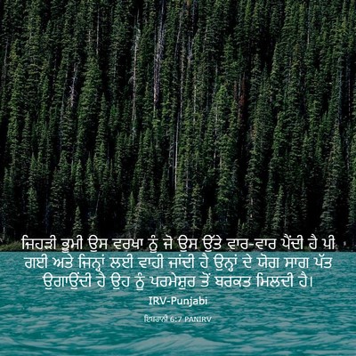 Picture 03 - ਇਬਰਾਨੀ 6:7 PANIRV - ਜਿਹੜੀ ਭੂਮੀ ਉਸ ਵਰਖਾ - Bible Verse Picture