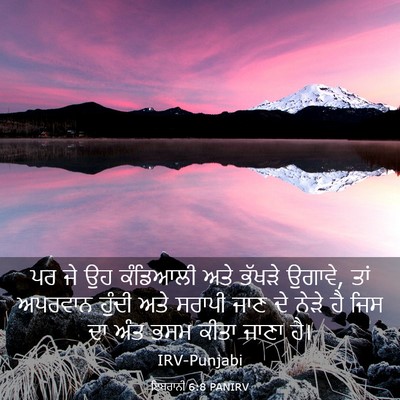 Picture 03 - ਇਬਰਾਨੀ 6:8 PANIRV - ਪਰ ਜੇ ਉਹ ਕੰਡਿਆਲੀ - Bible Verse Picture