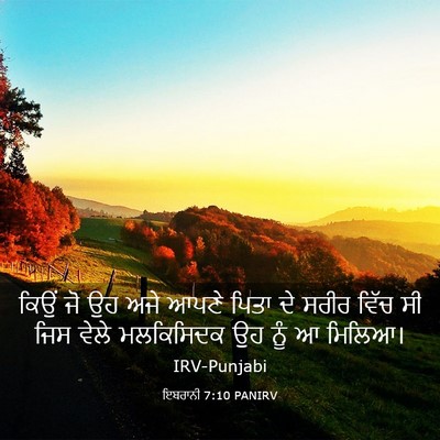 Picture 03 - ਇਬਰਾਨੀ 7:10 PANIRV - ਕਿਉਂ ਜੋ ਉਹ ਅਜੇ ਆਪਣੇ - Bible Verse Picture
