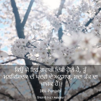 Picture 03 - ਇਬਰਾਨੀ 7:17 PANIRV - ਕਿਉਂ ਜੋ ਇਹ ਗਵਾਹੀ - Bible Verse Picture