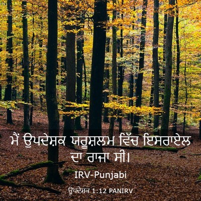 Picture 03 - ਉਪਦੇਸ਼ਕ 1:12 PANIRV - ਮੈਂ ਉਪਦੇਸ਼ਕ - Bible Verse Picture