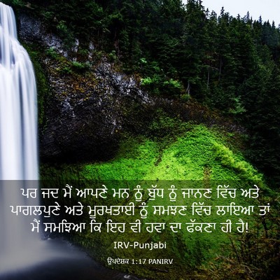 Picture 03 - ਉਪਦੇਸ਼ਕ 1:17 PANIRV - ਪਰ ਜਦ ਮੈਂ ਆਪਣੇ ਮਨ - Bible Verse Picture