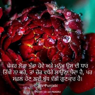 Picture 03 - ਉਪਦੇਸ਼ਕ 10:10 PANIRV - ਜੇਕਰ ਲੋਹਾ ਖੁੰਡਾ - Bible Verse Picture