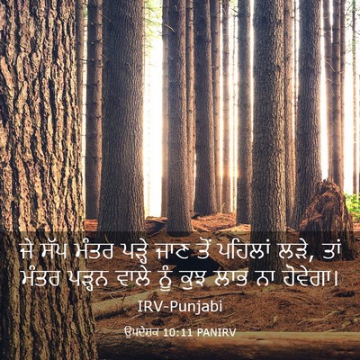 Picture 03 - ਉਪਦੇਸ਼ਕ 10:11 PANIRV - ਜੇ ਸੱਪ ਮੰਤਰ ਪੜ੍ਹੇ - Bible Verse Picture