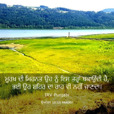 Picture 03 - ਉਪਦੇਸ਼ਕ 10:15 PANIRV - ਮੂਰਖ ਦੀ ਮਿਹਨਤ ਉਹ - Bible Verse Picture