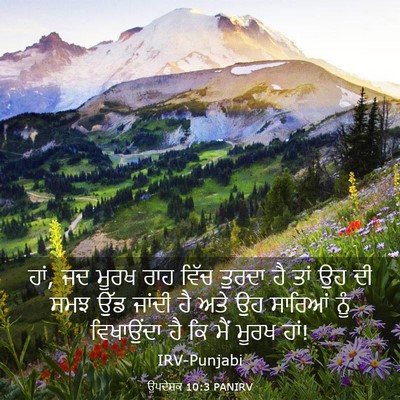 Picture 03 - ਉਪਦੇਸ਼ਕ 10:3 PANIRV - ਹਾਂ, ਜਦ ਮੂਰਖ ਰਾਹ - Bible Verse Picture