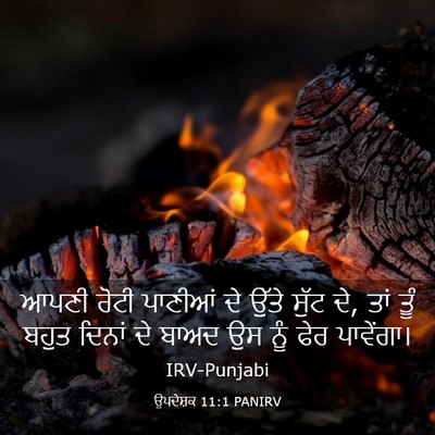 Picture 03 - ਉਪਦੇਸ਼ਕ 11:1 PANIRV - ਆਪਣੀ ਰੋਟੀ ਪਾਣੀਆਂ - Bible Verse Picture