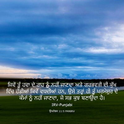 Picture 03 - ਉਪਦੇਸ਼ਕ 11:5 PANIRV - ਜਿਵੇਂ ਤੂੰ ਹਵਾ ਦੇ - Bible Verse Picture
