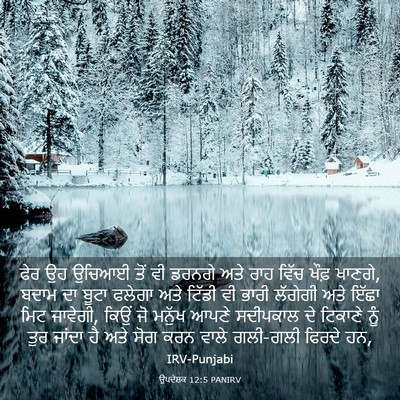 Picture 03 - ਉਪਦੇਸ਼ਕ 12:5 PANIRV - ਫੇਰ ਉਹ ਉਚਿਆਈ ਤੋਂ ਵੀ - Bible Verse Picture