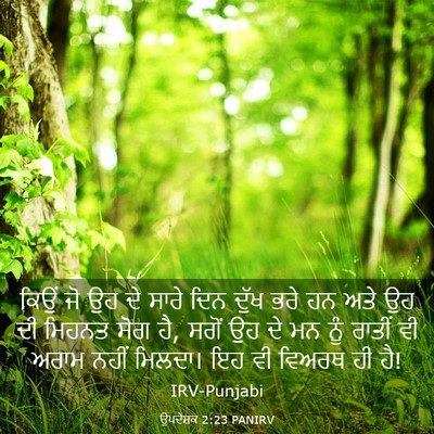 Picture 03 - ਉਪਦੇਸ਼ਕ 2:23 PANIRV - ਕਿਉਂ ਜੋ ਉਹ ਦੇ ਸਾਰੇ - Bible Verse Picture