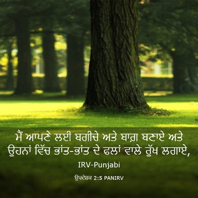 Picture 03 - ਉਪਦੇਸ਼ਕ 2:5 PANIRV - ਮੈਂ ਆਪਣੇ ਲਈ ਬਗੀਚੇ - Bible Verse Picture