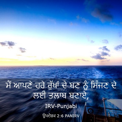 Picture 03 - ਉਪਦੇਸ਼ਕ 2:6 PANIRV - ਮੈਂ ਆਪਣੇ ਹਰੇ - Bible Verse Picture