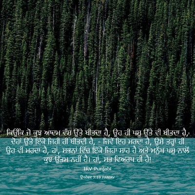 Picture 03 - ਉਪਦੇਸ਼ਕ 3:19 PANIRV - ਕਿਉਂਕਿ ਜੋ ਕੁਝ ਆਦਮ - Bible Verse Picture