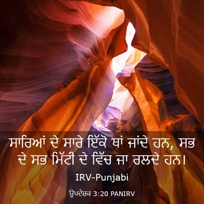 Picture 03 - ਉਪਦੇਸ਼ਕ 3:20 PANIRV - ਸਾਰਿਆਂ ਦੇ ਸਾਰੇ - Bible Verse Picture
