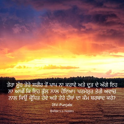 Picture 03 - ਉਪਦੇਸ਼ਕ 5:6 PANIRV - ਤੇਰਾ ਮੂੰਹ ਤੇਰੇ - Bible Verse Picture
