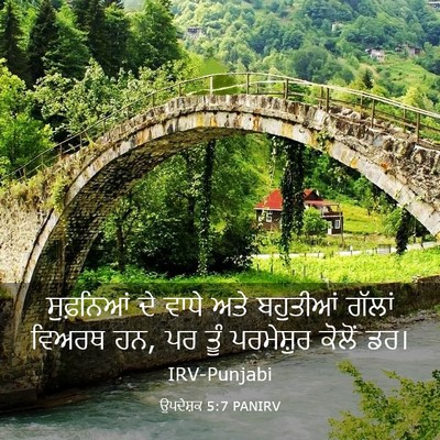 Picture 03 - ਉਪਦੇਸ਼ਕ 5:7 PANIRV - ਸੁਫ਼ਨਿਆਂ ਦੇ ਵਾਧੇ - Bible Verse Picture