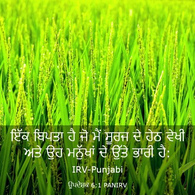 Picture 03 - ਉਪਦੇਸ਼ਕ 6:1 PANIRV - ਇੱਕ ਬਿਪਤਾ ਹੈ ਜੋ ਮੈਂ - Bible Verse Picture