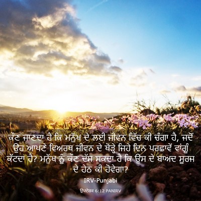 Picture 03 - ਉਪਦੇਸ਼ਕ 6:12 PANIRV - ਕੌਣ ਜਾਣਦਾ ਹੈ ਕਿ - Bible Verse Picture