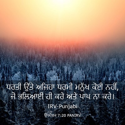 Picture 03 - ਉਪਦੇਸ਼ਕ 7:20 PANIRV - ਧਰਤੀ ਉੱਤੇ ਅਜਿਹਾ - Bible Verse Picture
