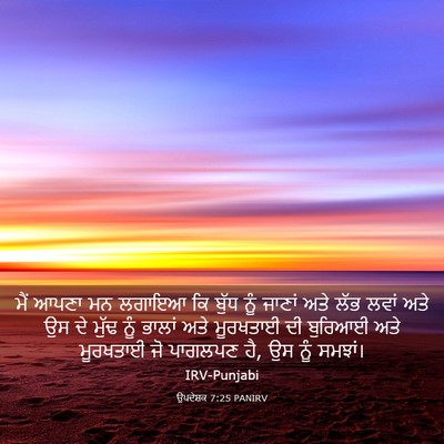 Picture 03 - ਉਪਦੇਸ਼ਕ 7:25 PANIRV - ਮੈਂ ਆਪਣਾ ਮਨ ਲਗਾਇਆ - Bible Verse Picture