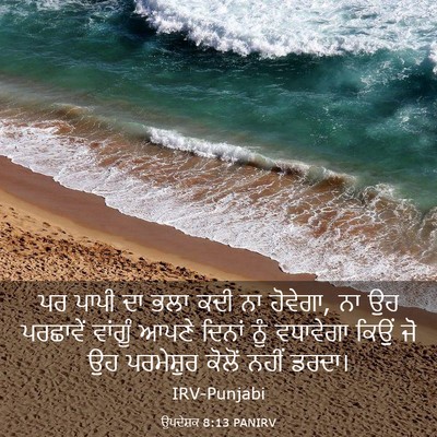 Picture 03 - ਉਪਦੇਸ਼ਕ 8:13 PANIRV - ਪਰ ਪਾਪੀ ਦਾ ਭਲਾ ਕਦੀ - Bible Verse Picture