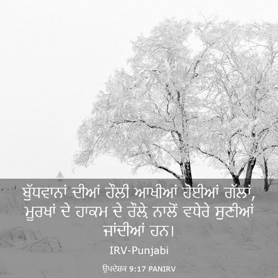 Picture 03 - ਉਪਦੇਸ਼ਕ 9:17 PANIRV - ਬੁੱਧਵਾਨਾਂ ਦੀਆਂ - Bible Verse Picture