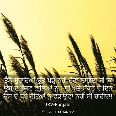 Picture 03 - ਓਬਦਯਾਹ 1:14 PANIRV - ਤੈਨੂੰ ਚੁਰਾਹਿਆਂ - Bible Verse Picture