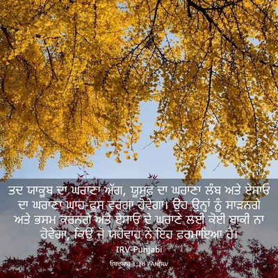 Picture 03 - ਓਬਦਯਾਹ 1:18 PANIRV - ਤਦ ਯਾਕੂਬ ਦਾ ਘਰਾਣਾ - Bible Verse Picture
