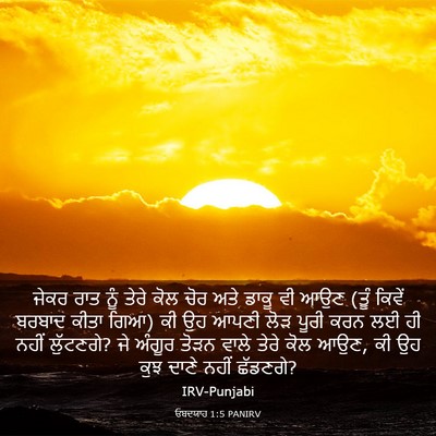 Picture 03 - ਓਬਦਯਾਹ 1:5 PANIRV - ਜੇਕਰ ਰਾਤ ਨੂੰ ਤੇਰੇ - Bible Verse Picture
