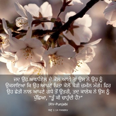 Picture 03 - ਕਜ਼ਾૃ 1:14 PANIRV - ਜਦ ਉਹ ਅਥਨੀਏਲ ਦੇ ਕੋਲ - Bible Verse Picture