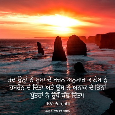 Picture 03 - ਕਜ਼ਾૃ 1:20 PANIRV - ਤਦ ਉਨ੍ਹਾਂ ਨੇ ਮੂਸਾ - Bible Verse Picture